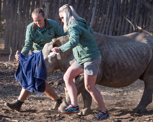 Yolande (Rhino Manager) & Sarah (Rhino Carer)