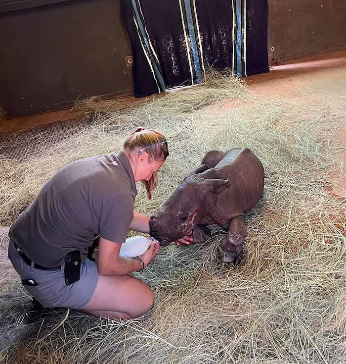 Baby Rhino Rescue added a new photo. - Baby Rhino Rescue